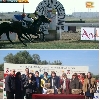 Colegio San Alberto Magno. Premio temporada de carreras de caballos gran Hipódromo de Andalucía.